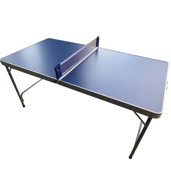 Best Chinese Table Tennis Table Factory – Wholesale Prices & Custom Options