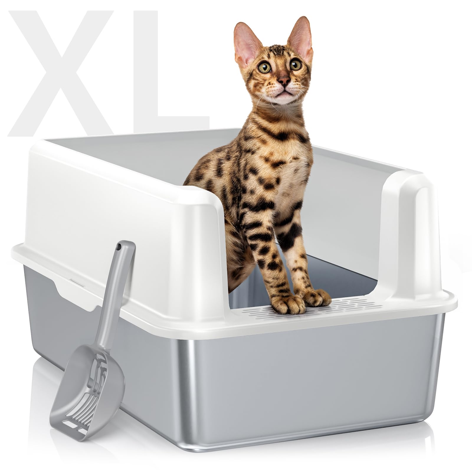 Why Choose a Stainless Steel Cat Litter Box？ Top Benefits and Reviews