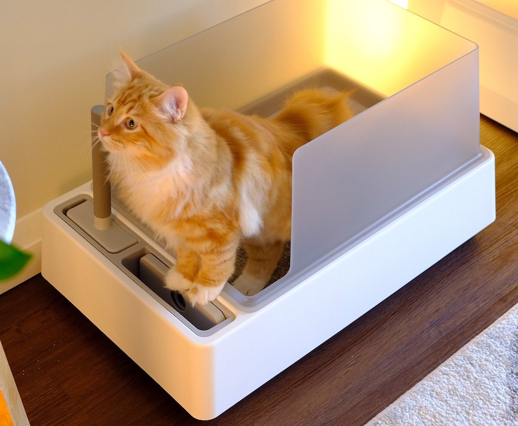 Why Choose a Stainless Steel Cat Litter Box？ Top Benefits and Reviews