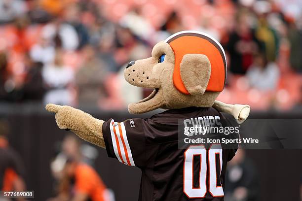 Discover Chomps： Cleveland Browns Mascot Making NFL History