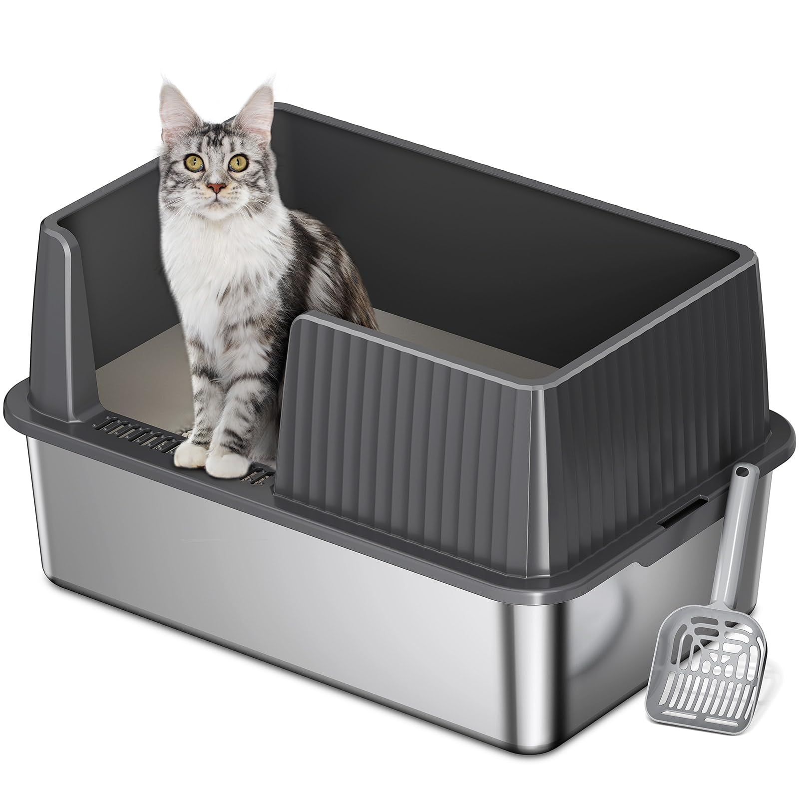 Why Choose a Stainless Steel Cat Litter Box？ Top Benefits and Reviews