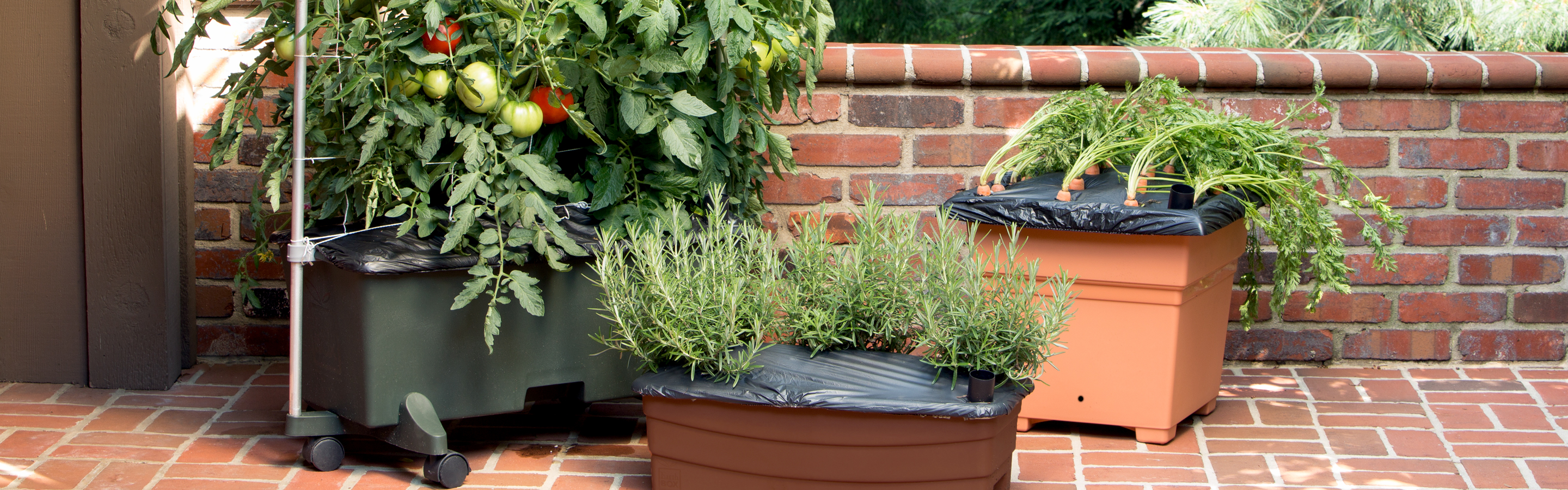 Grow More with EarthBox: Award-Winning, Maintenance-Free Gardening System