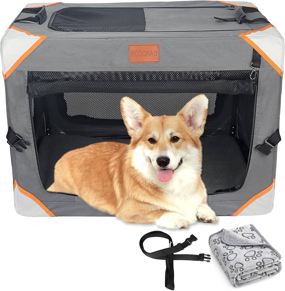 Top-Rated Dog Boxes for Safe and Comfortable Pet Travel