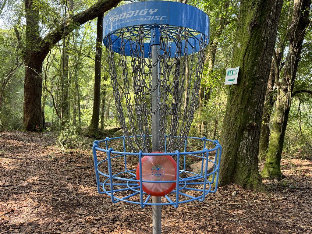 The Best Disc Golf Discs for 2024: Top Picks for Every Player