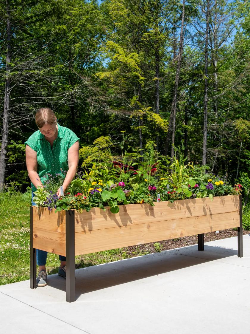 Long-Lasting Cedar Planter Boxes – Perfect for Elevating Your Garden Design