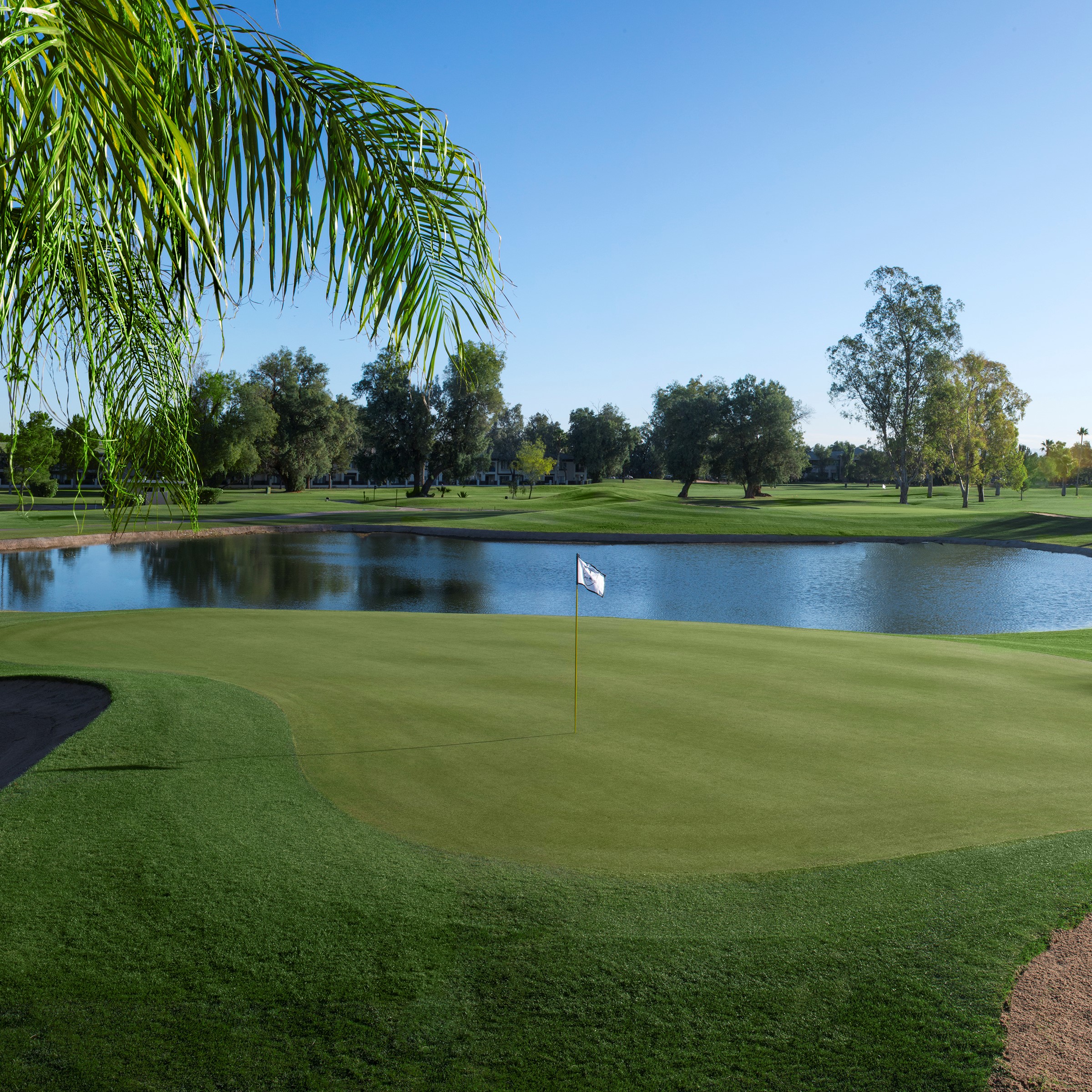 San Marcos Golf Course in Chandler, Arizona: A Premier Destination for Golfers