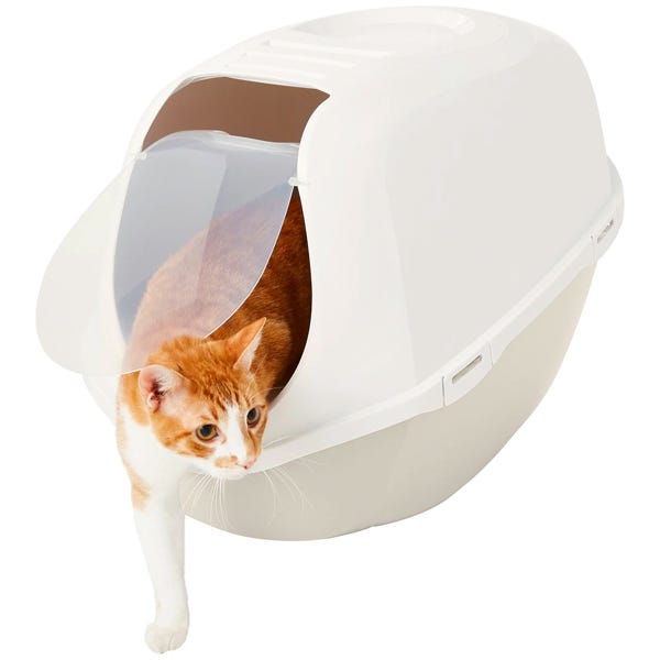 What Is a Fair Price for Changing a Cat Litter Box?