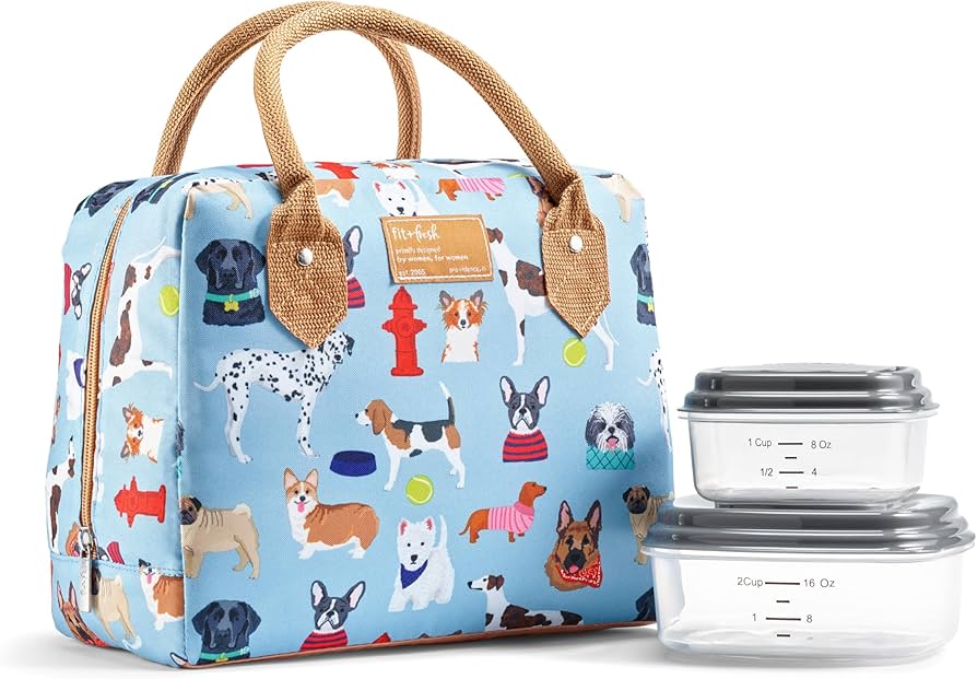 Best Womens Lunch Boxes for Work: Insulated, Leakproof & Stylish Designs