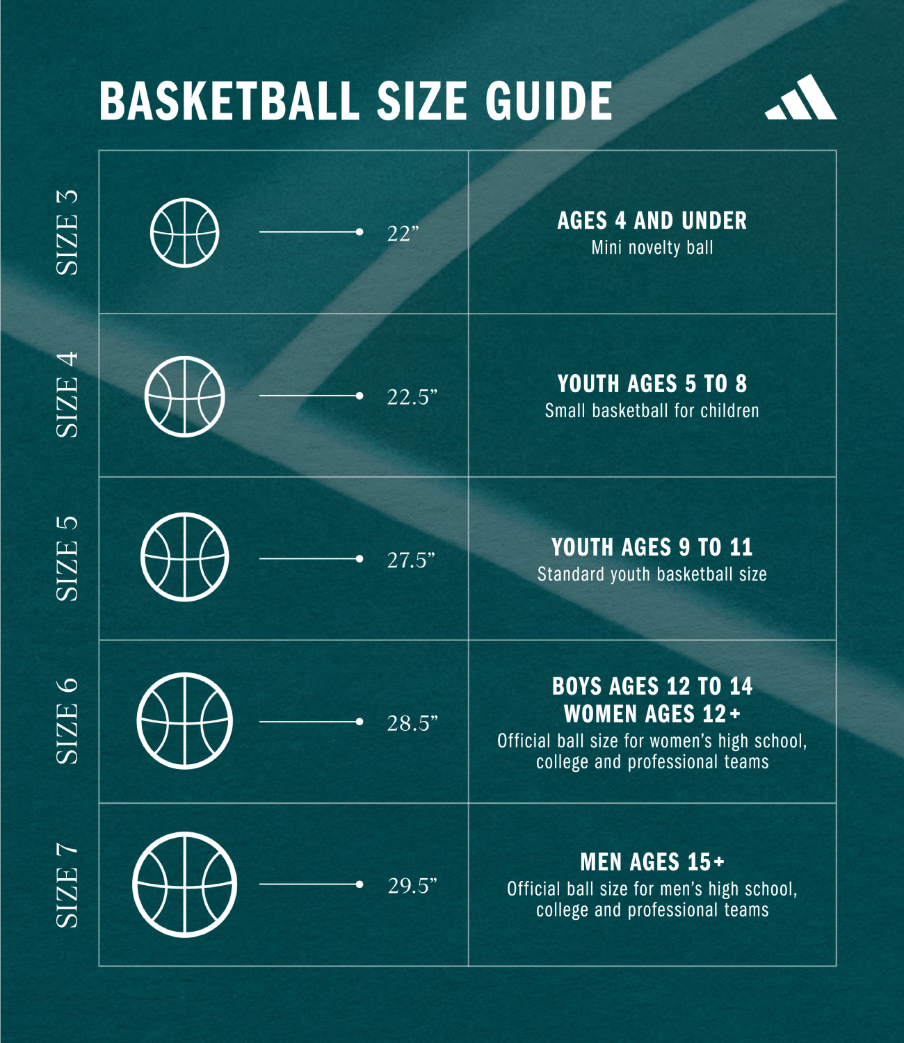 Beginners Guide to Size 4 Basketballs: Specs and Benefits