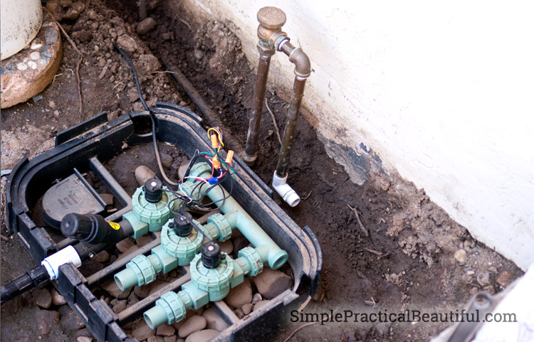 How to Install a Box for Anti Siphon Irrigation Valves? Easy Guide