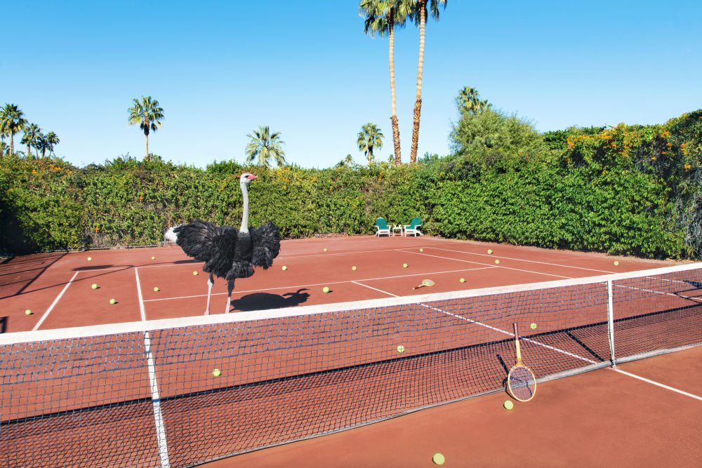 Unlock Your Game: Best Tennis Clinic for Women in Nantucket