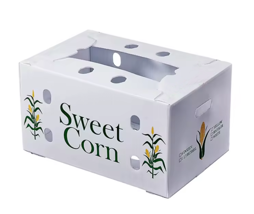 Fruit Corn Packaging Box: Discover the Advantages of Using Eco-Friendly Options.