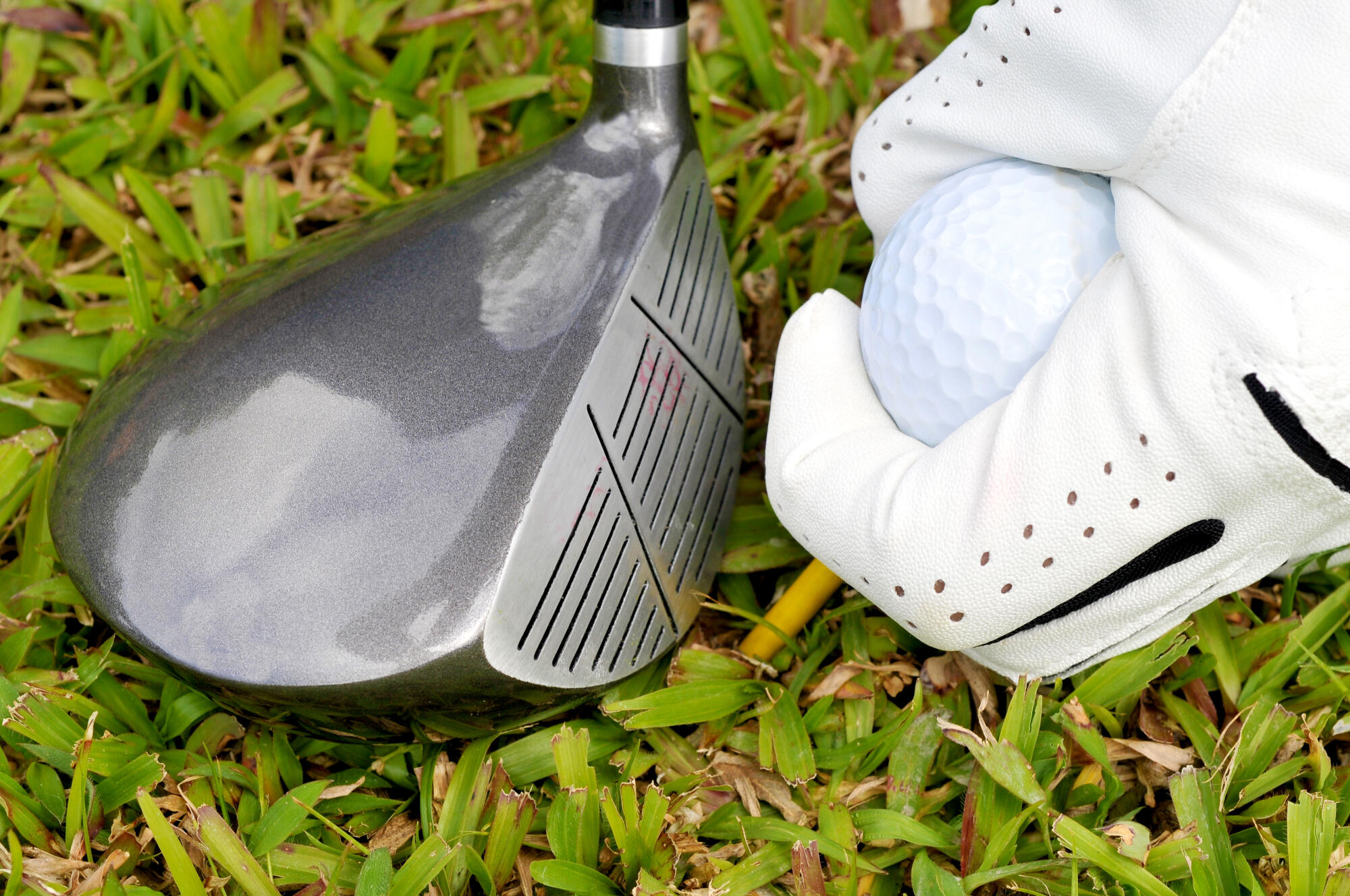 Whats the Best Golf Driver for Beginners? Top Picks for New Players!