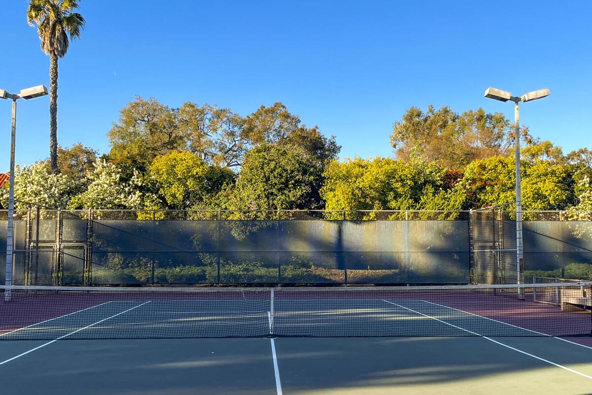 Find the Best City Park Tennis Courts for a Fun Match Today