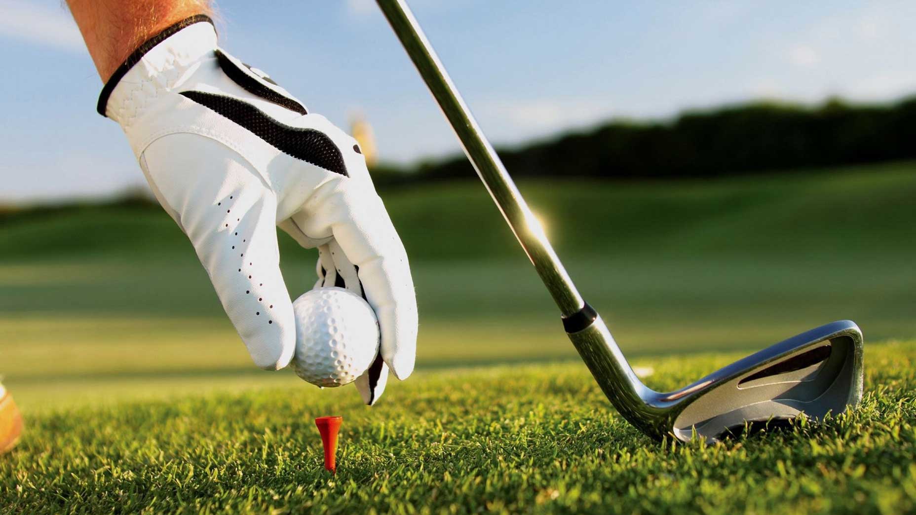 Where to find the best golf tees? Check out these options