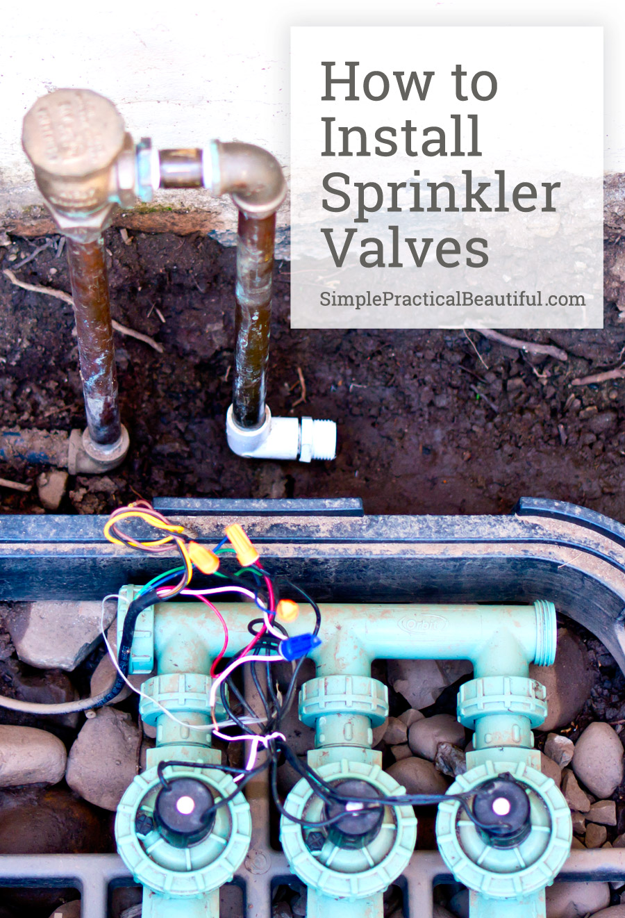 How to Install a Box for Anti Siphon Irrigation Valves? Easy Guide