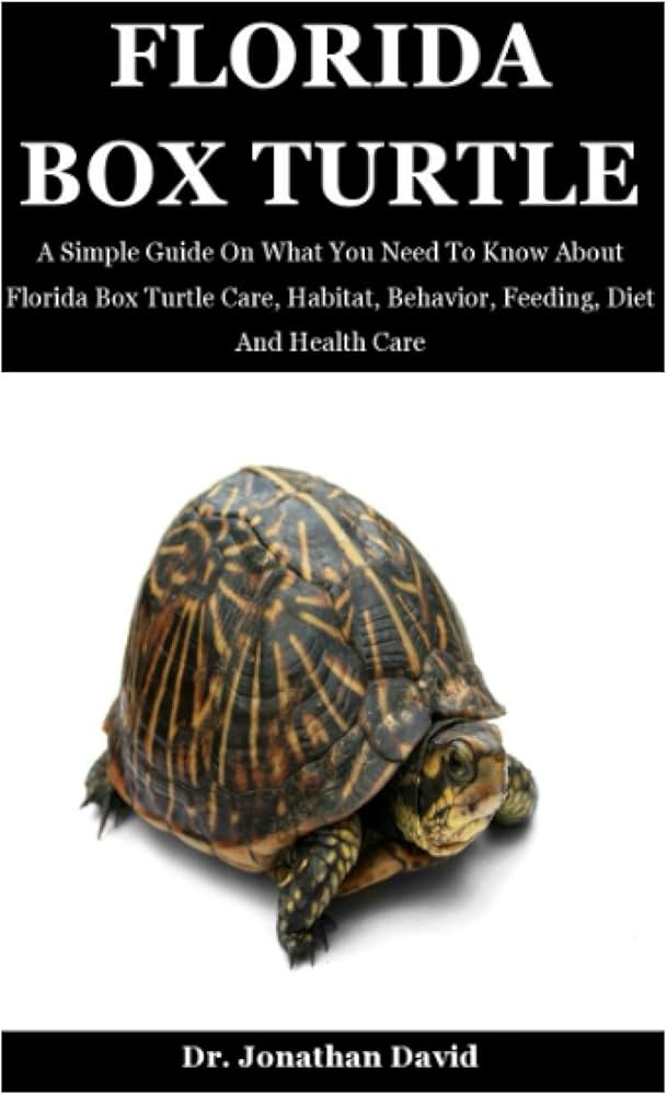 All About Florida Box Turtle: Simple Guide for Beginners