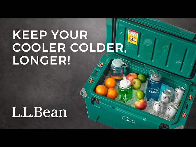 How to choose a cool box? Simple tips to keep your food and drinks cold.