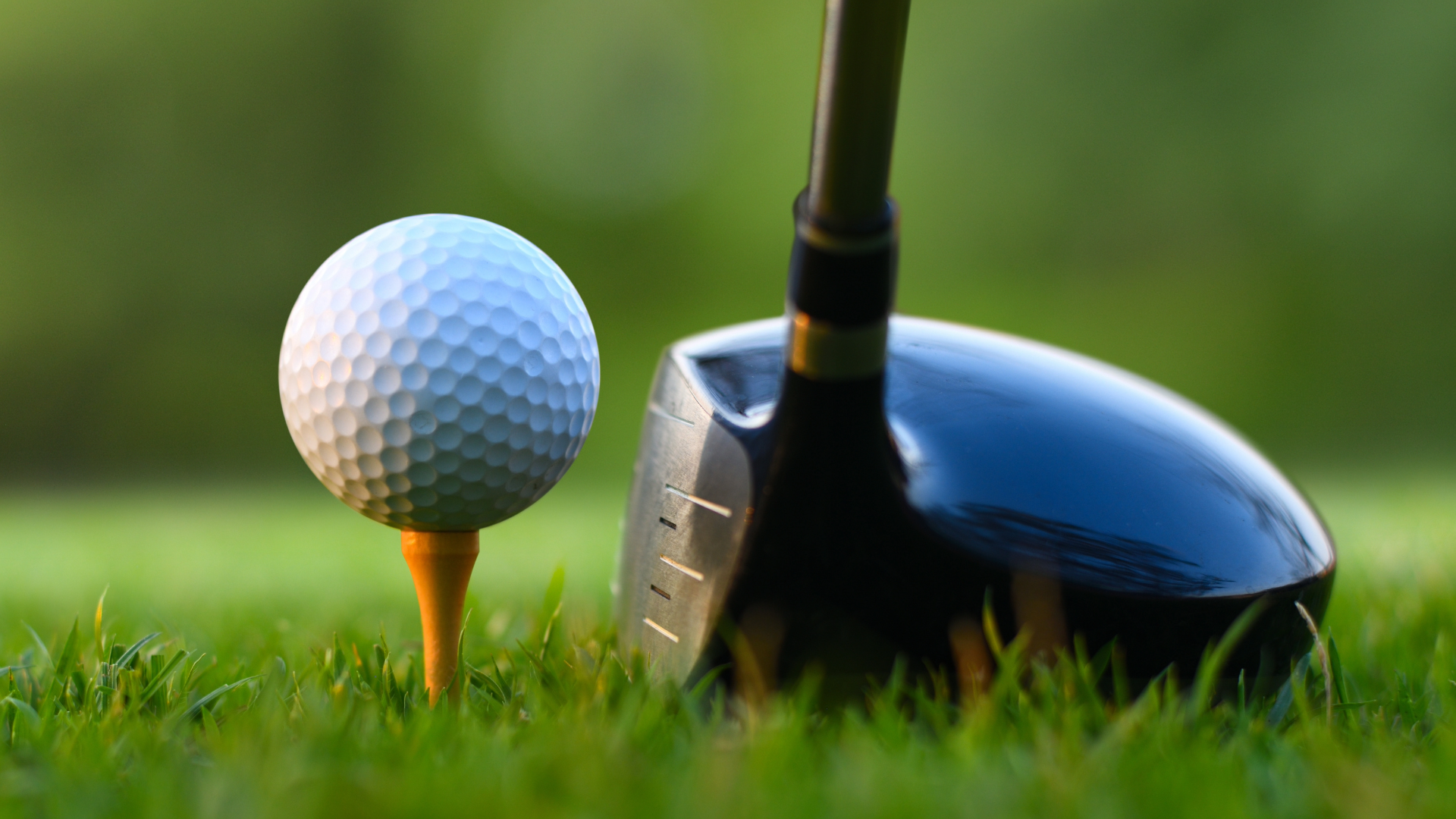 Where to find the best golf tees? Check out these options