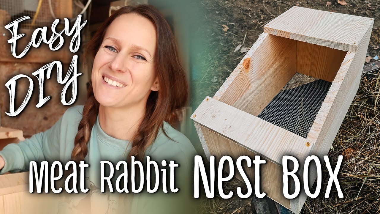 Rabbit Nesting Box: Easy Guide for Happy Bunnies!